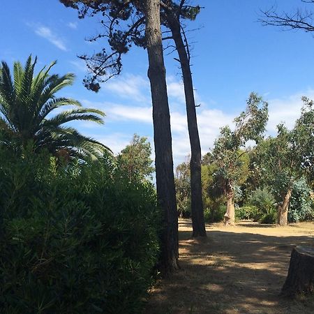 Hotel Le Narval Calcatoggio (Corsica) Ngoại thất bức ảnh