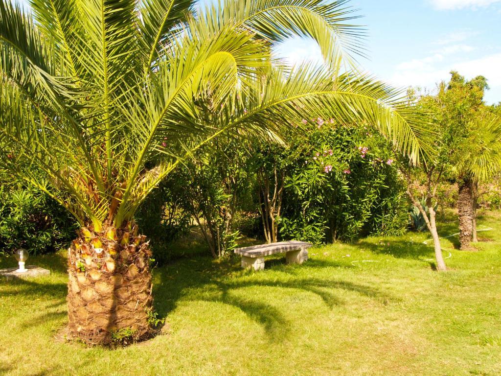 Hotel Le Narval Calcatoggio (Corsica) Ngoại thất bức ảnh